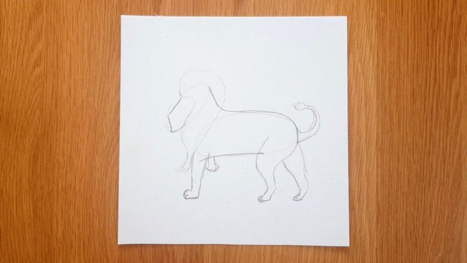Lion Drawing