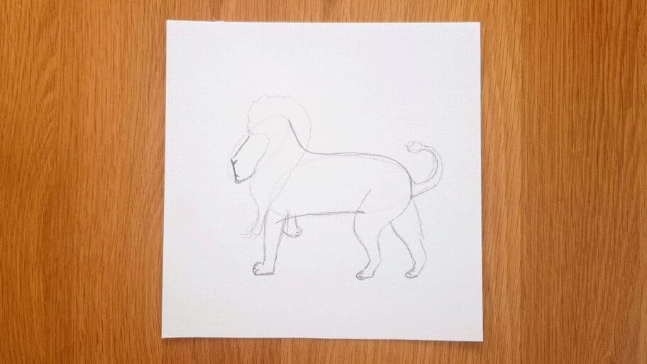 Lion Drawing