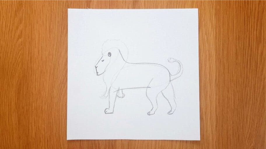 Lion Drawing