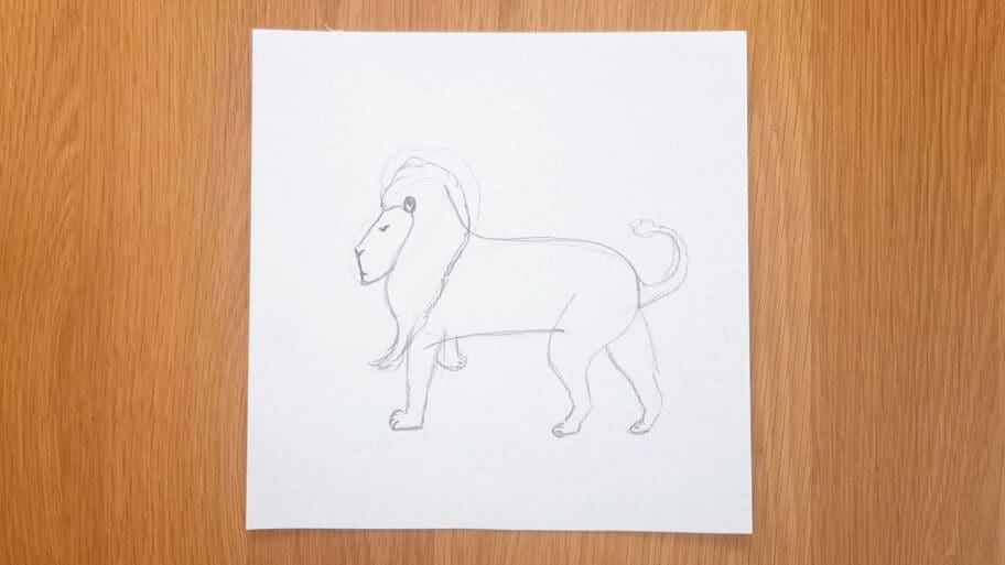 Lion Drawing