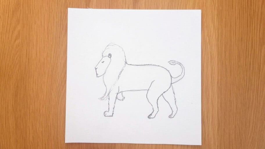 Lion Drawing