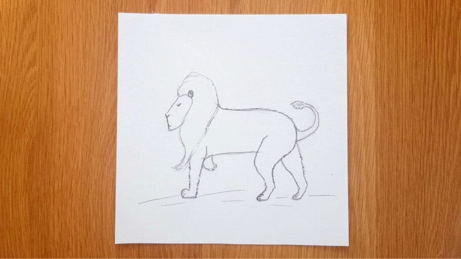 Lion Drawing