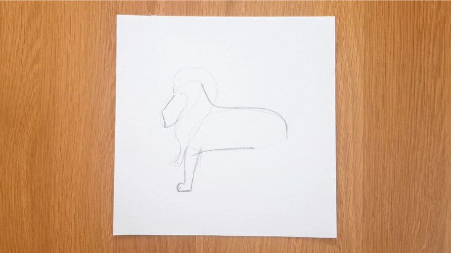 Lion Drawing