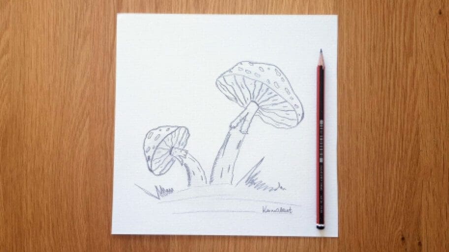 Mushroom Drawing