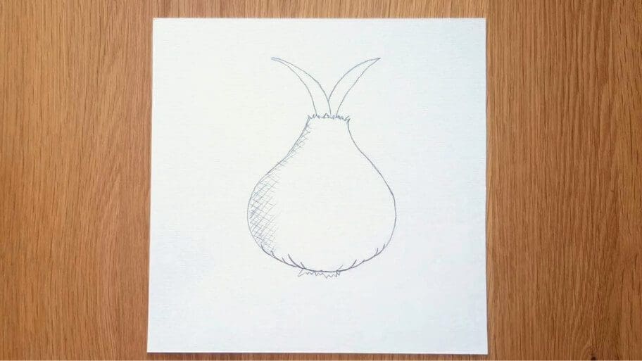 Onion Drawing