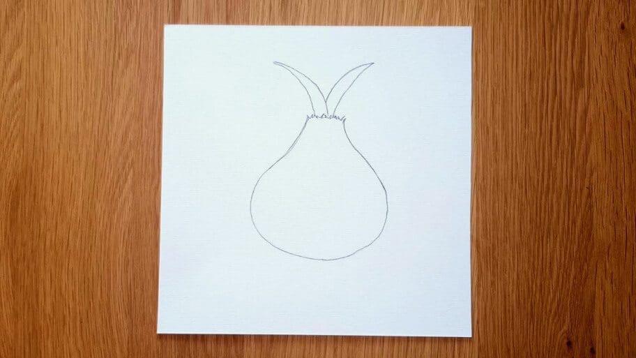 Onion Drawing