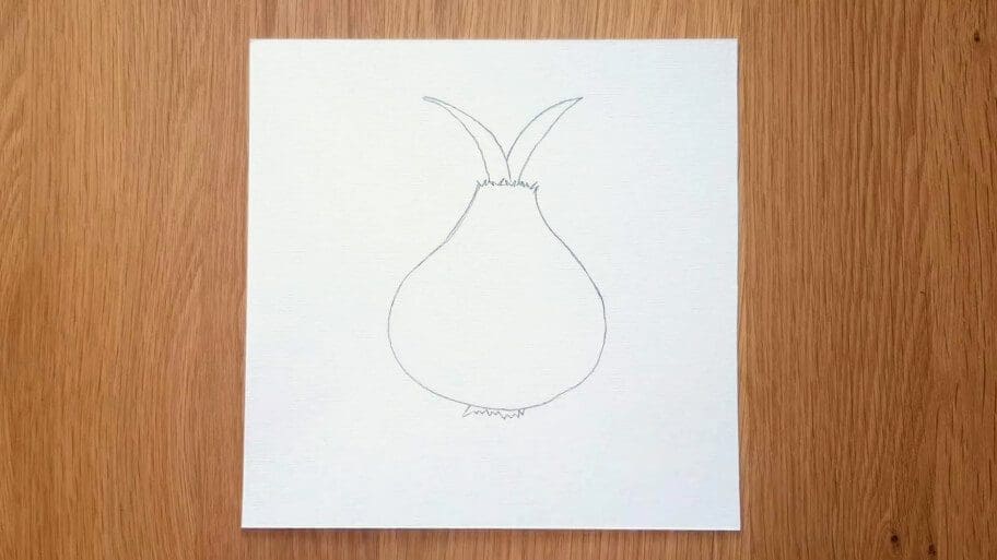 Onion Drawing