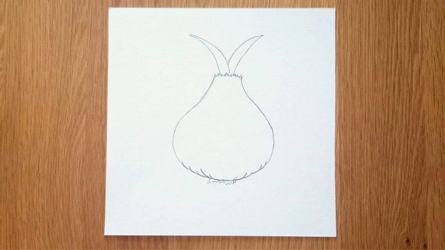 Onion Drawing