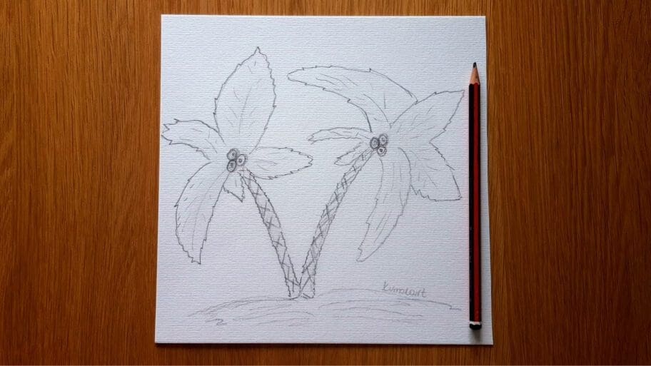 Palm Tree Drawing