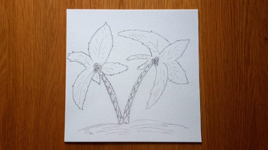 Palm Tree Drawing