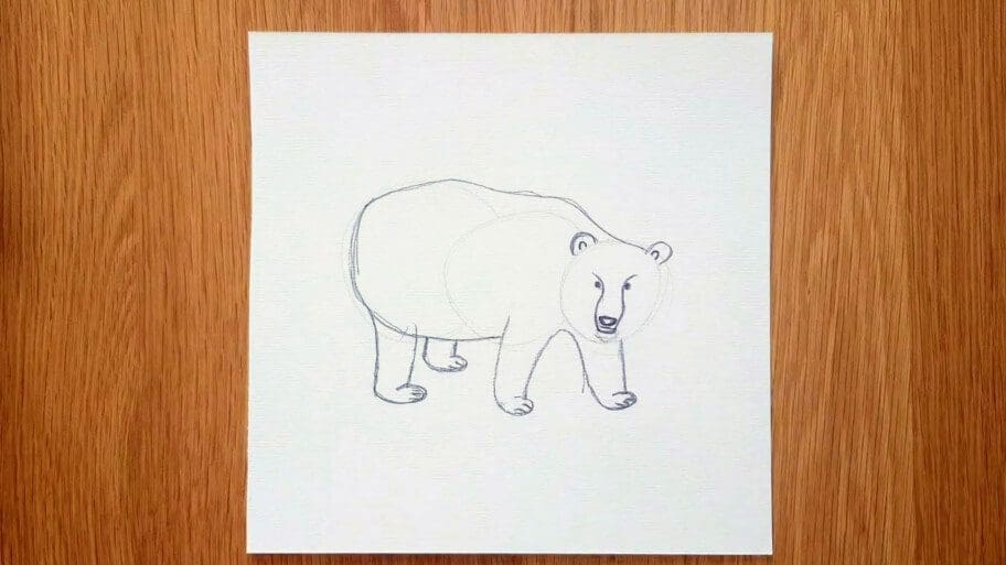 Panda Drawing