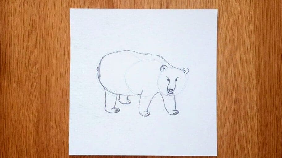 Panda Drawing