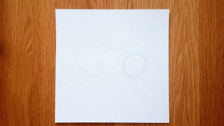 Panda Drawing