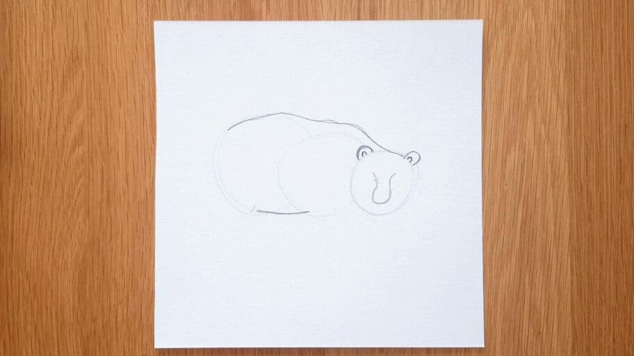 Panda Drawing