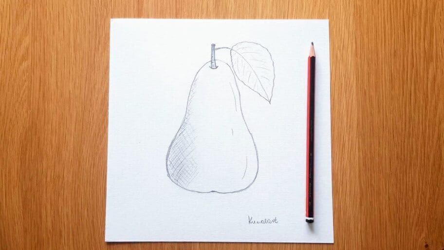 Pear Drawing