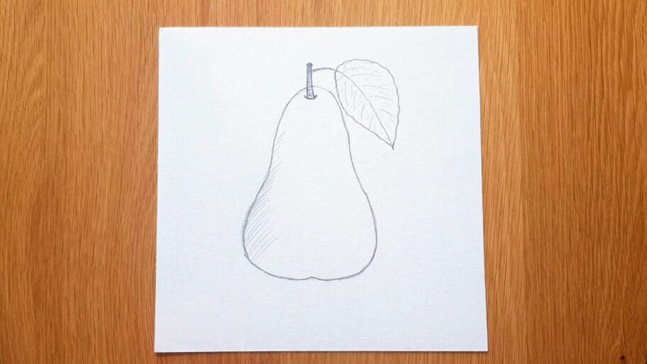 Pear Drawing