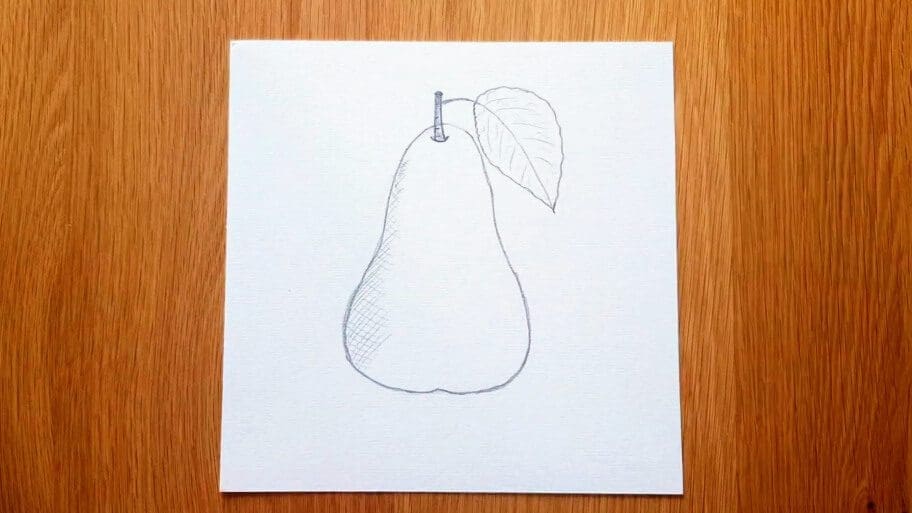 Pear Drawing