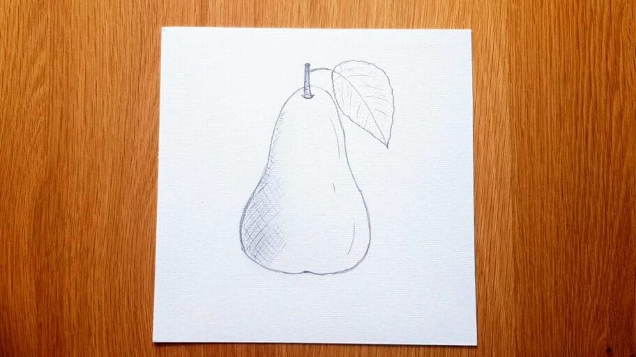 Pear Drawing