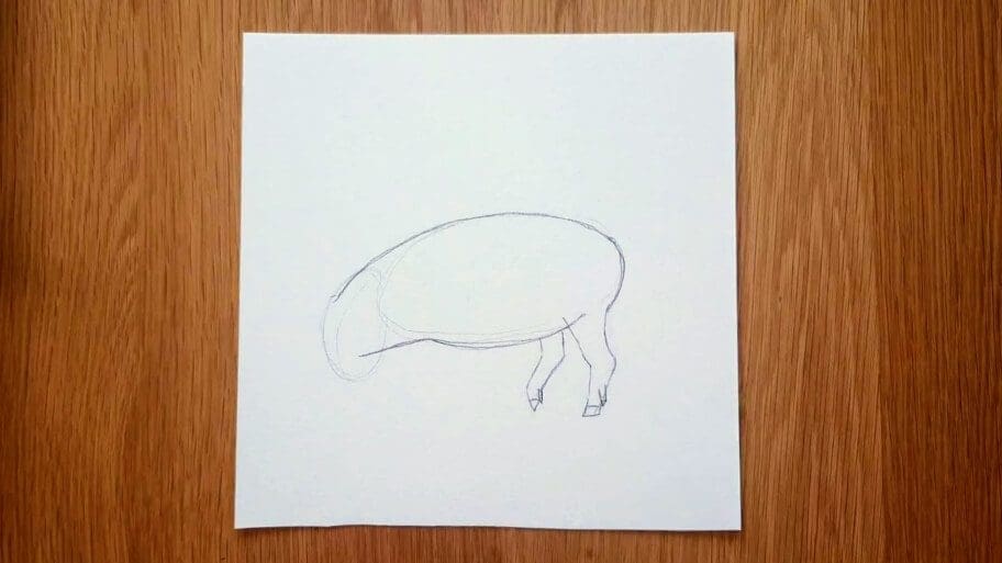 Pig Drawing