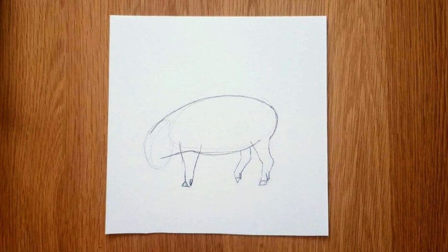 Pig Drawing
