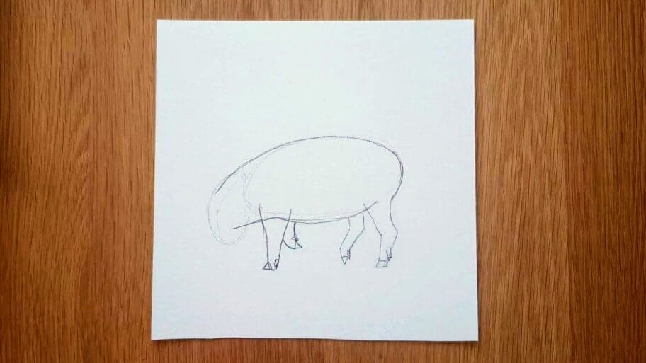 Pig Drawing
