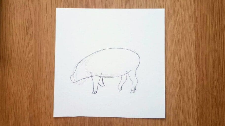 Pig Drawing