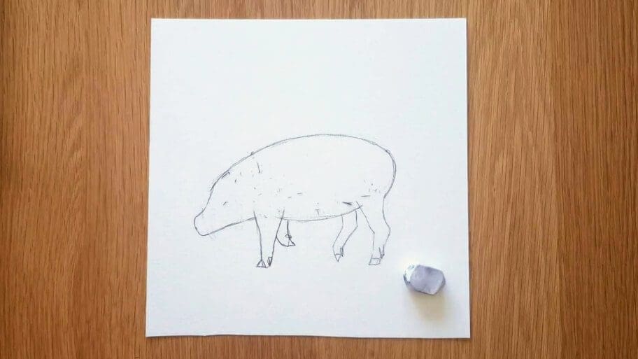 Pig Drawing