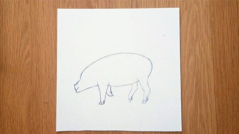 Pig Drawing