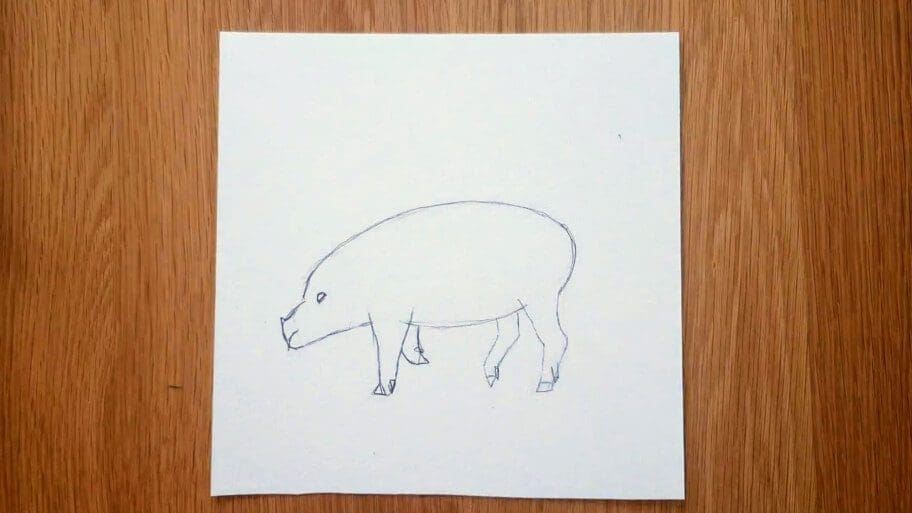 Pig Drawing