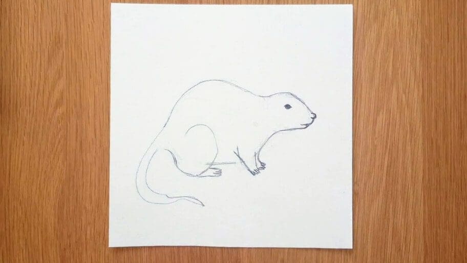 Rat Drawing