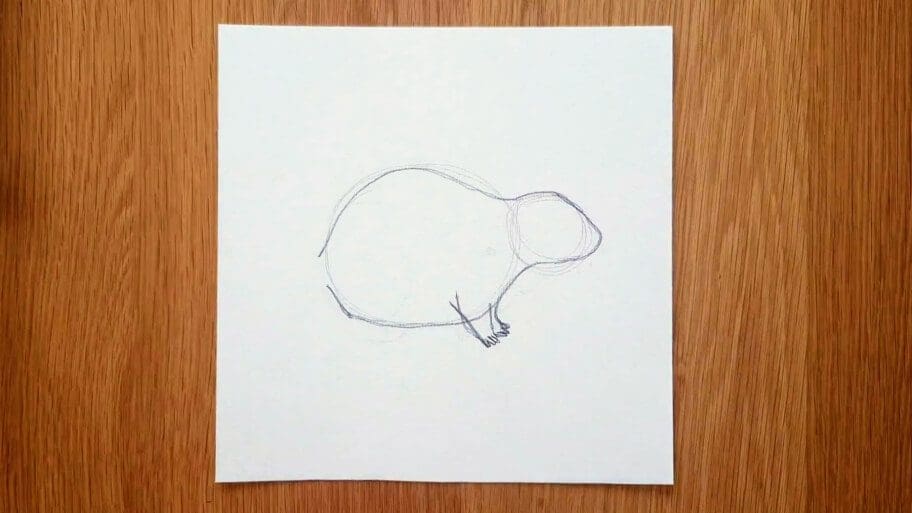 Rat Drawing