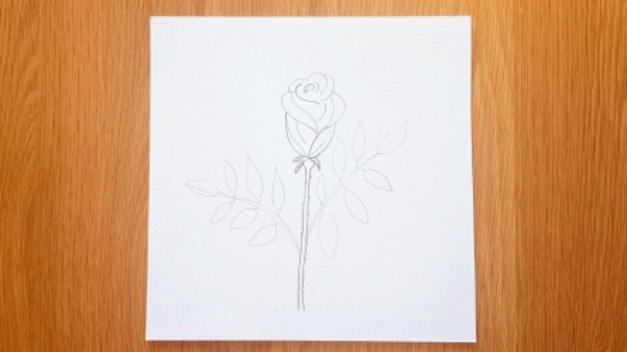Rose Drawing
