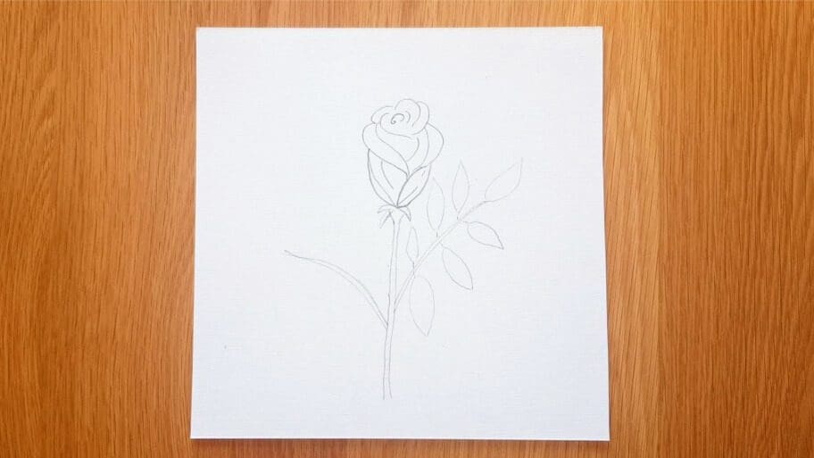 Rose Drawing