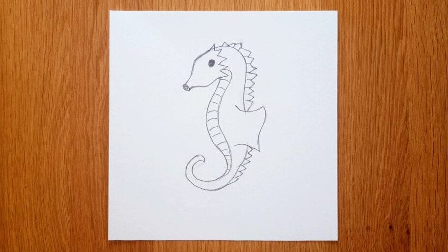 Seahorse Drawing