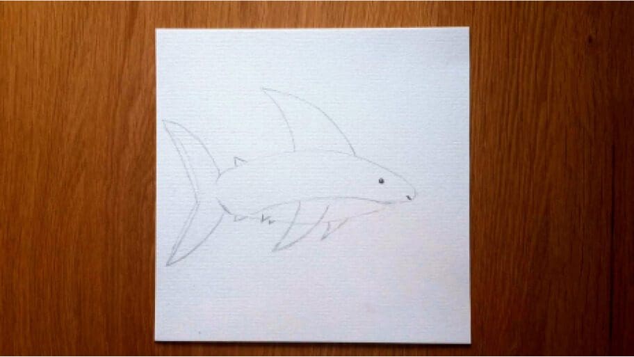 Shark Drawing