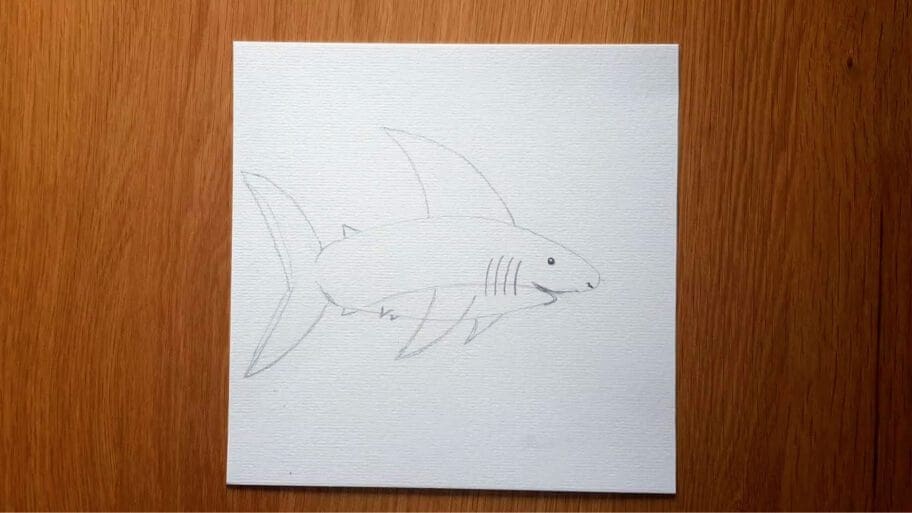 Shark Drawing
