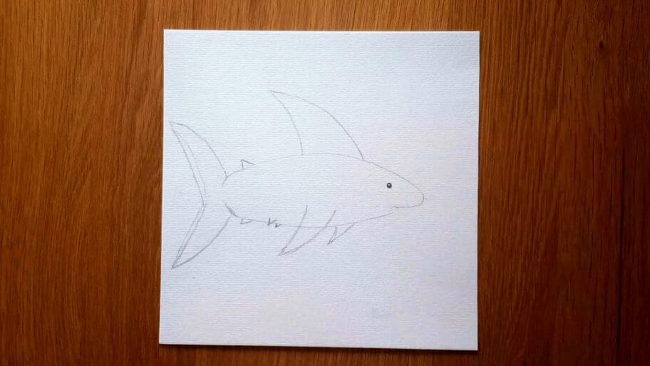 Shark Drawing