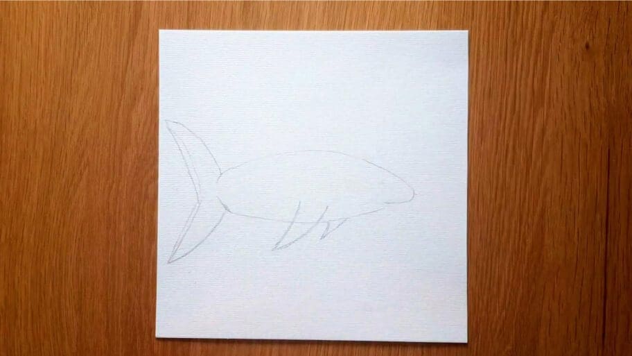 Shark Drawing