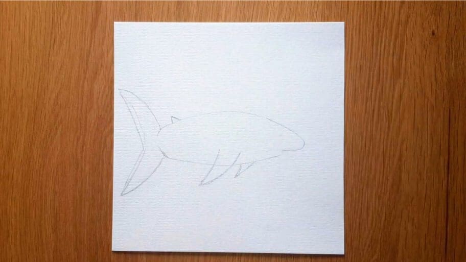Shark Drawing