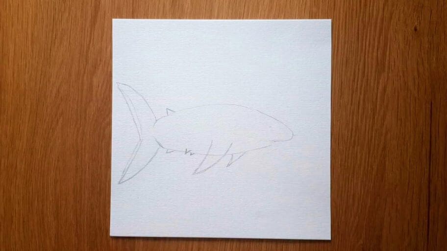 Shark Drawing