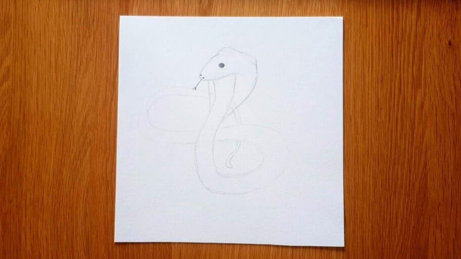 Snake Drawing