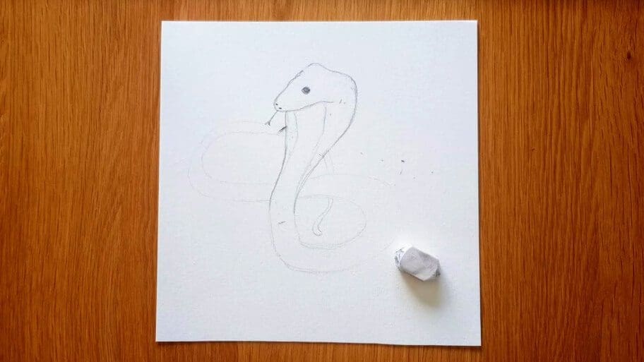 Snake Drawing