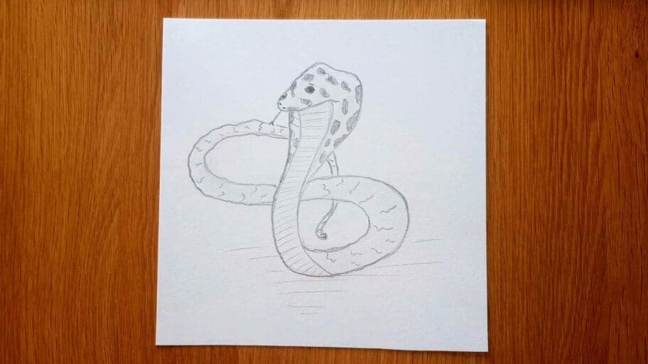 Snake Drawing