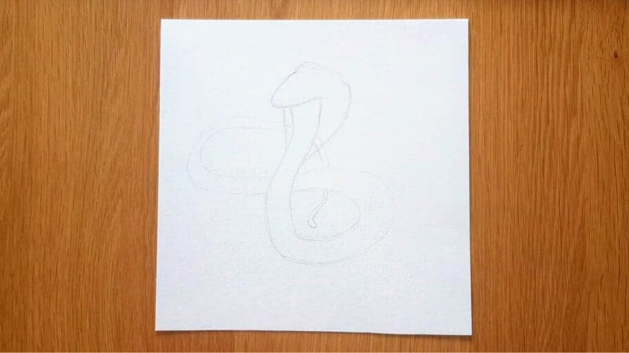 Snake Drawing