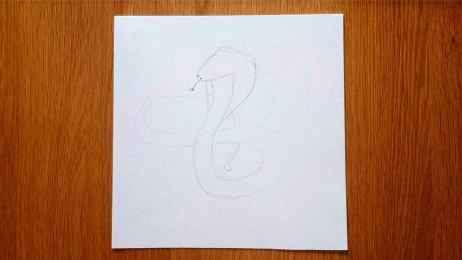 Snake Drawing
