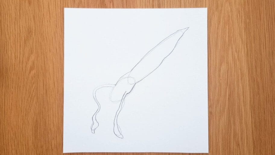 Squid Drawing