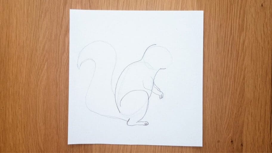 Squirrel Drawing
