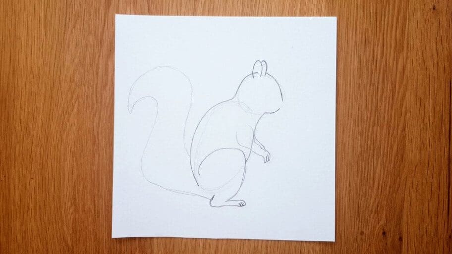 Squirrel Drawing