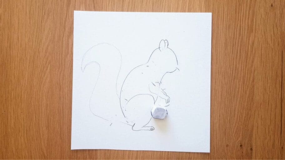 Squirrel Drawing