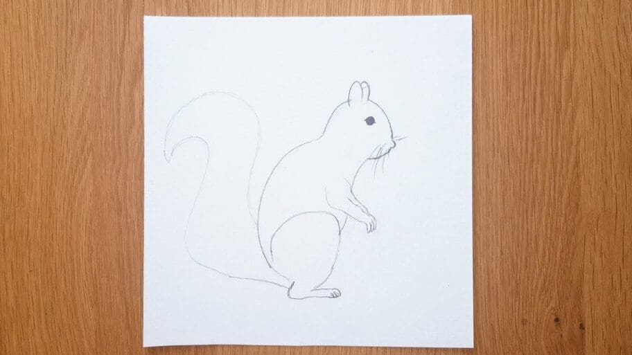 Squirrel Drawing